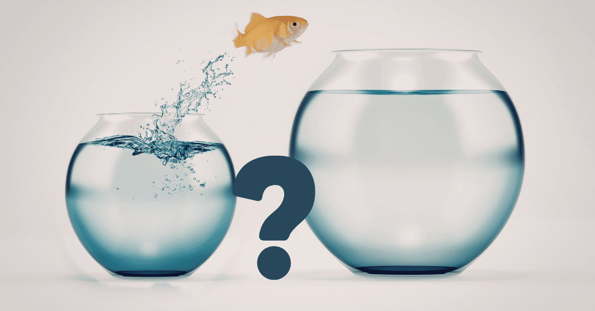 Klumpenrisiko mit nur einem Hauptkunden